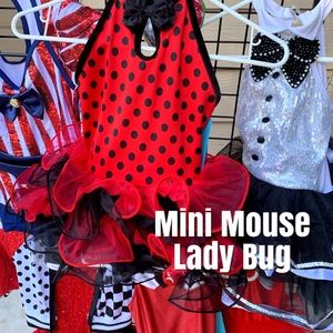 Minnie Mouse/Lady Bug child costume